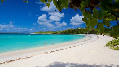 caribbean vacation deals