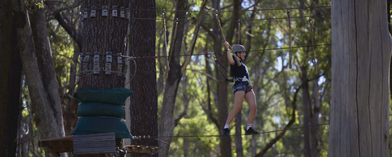 forest adventure
