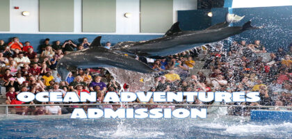 ocean adventure