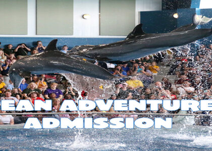 ocean adventure