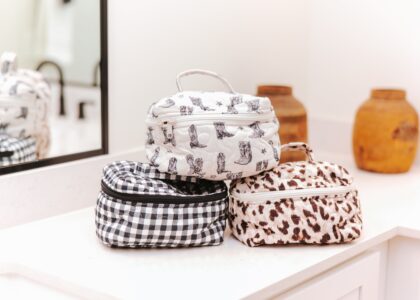 makeup travel case